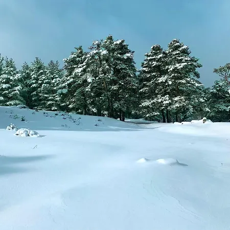 Casa Urbion-pinares De Soria *