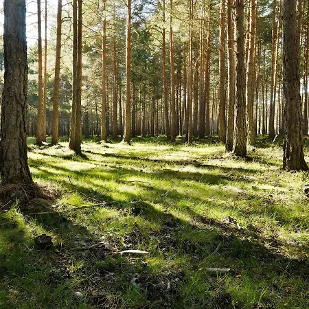 Casa Urbión-pinares De Soria Chalet